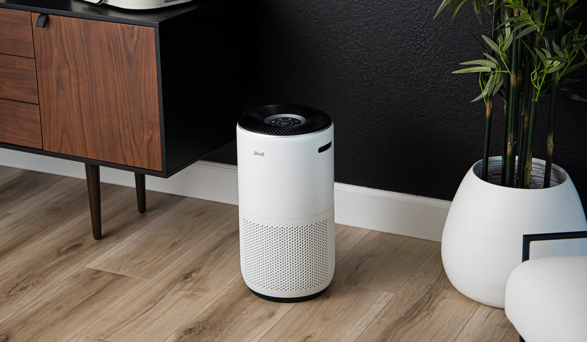 best air purifier for allergens
